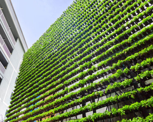 BB-vertical-garden-1024×682